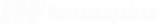 Metaspins logo